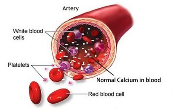 Nồng độ Canxi ổn định trong máu là 9-10mg (khoảng 100cc)